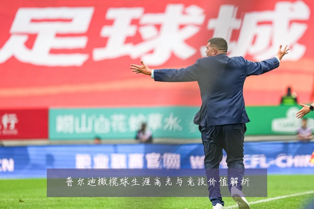 普尔迪橄榄球生涯高光与竞技价值解析